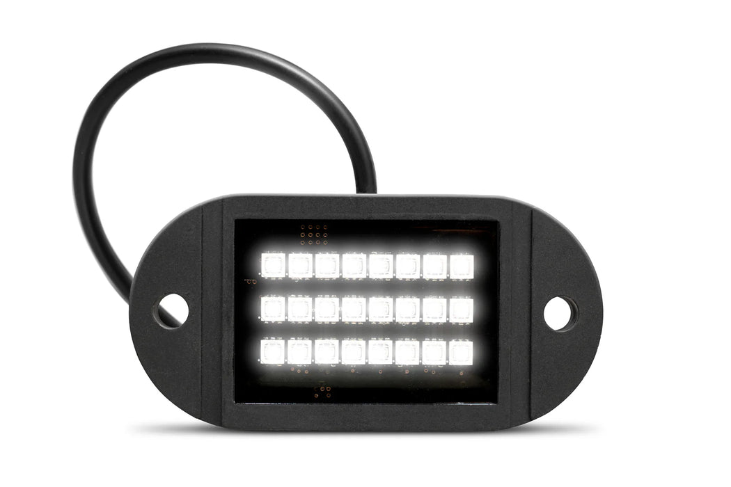 EcoXGear Extreme LED Rock Light Single Pack